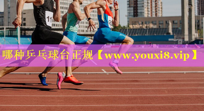 哪种乒乓球台正规